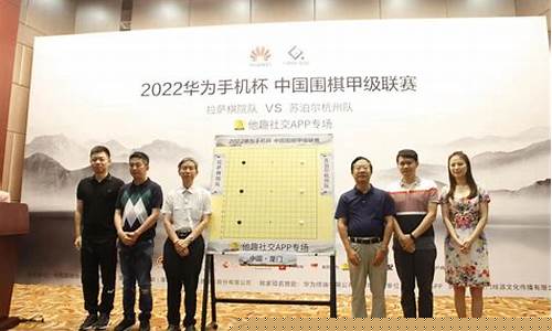 中国围棋联赛奖金多少钱啊-中国围棋联赛奖金多少钱