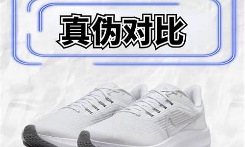 王牌篮球队vs飞马-ace park王牌篮球