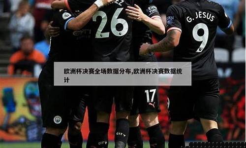 欧洲杯决赛技术统计-欧洲杯决赛技术统计表