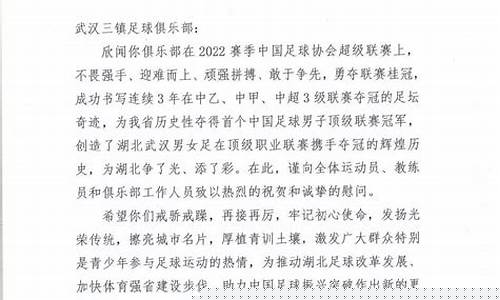 湖北省足协业余联赛冠军赛-湖北足协05梯队