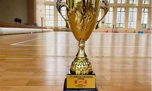 篮球比赛奖杯小学生-小学生篮球奖状名称大全集