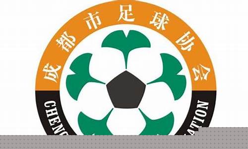 成都足球甲级联赛打架-成都足球业余联赛围殴裁判