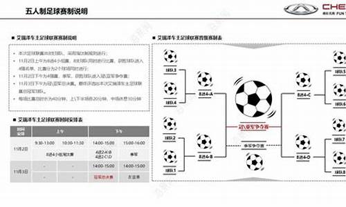 商业足球联赛执行方案-商业化足球