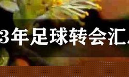 足球转会与篮球转会-足球转会和nba的区别