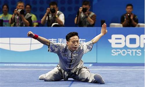 仁川亚运会武术长拳-仁川亚运会女子60公斤拳击