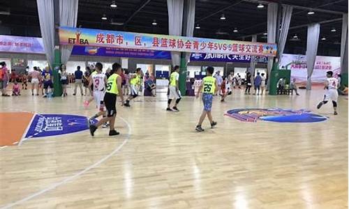 成都市篮球协会概况-成都市篮球协会会长