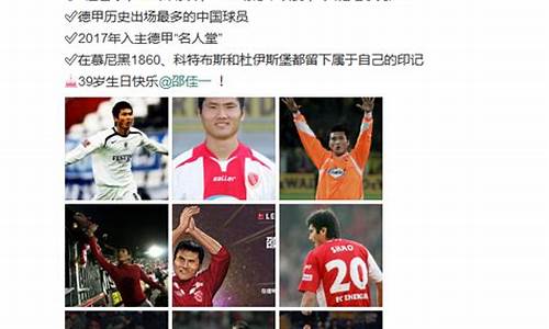邵佳一是德甲名人堂-邵佳一在德甲哪个球队
