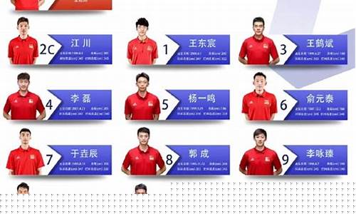 中国排球联赛各队名单表-中国排球联赛各队名单