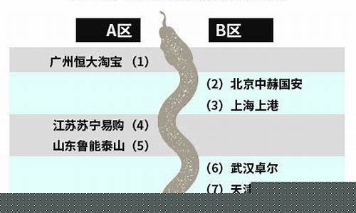 篮球蛇形排列对阵表-篮球蛇形排列对阵表怎么做