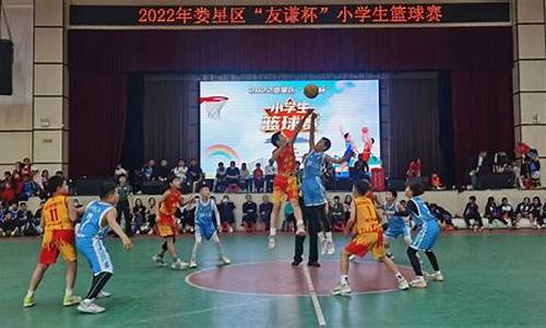 小学生篮球表演节目-小学生篮球秀表演