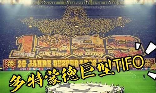 多特蒙德欧冠历史-1998欧冠多特蒙德阵容