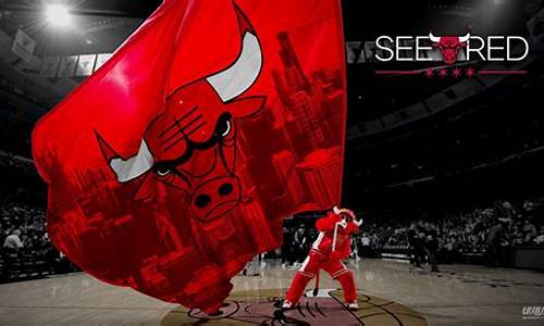 篮球比赛芝加哥公牛-nba芝加哥公牛队球员名单