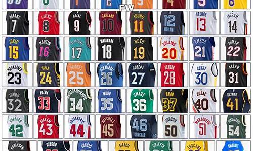 nba篮球可以16人-篮球十几个人