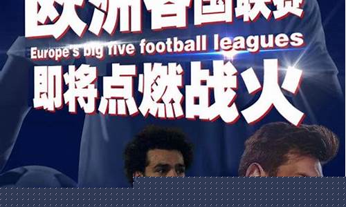各国足球联赛排名app-足球联赛各国排名2