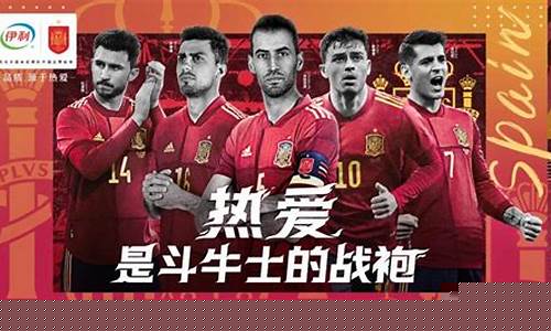 08年的西班牙国家队-08西班牙足球国家队实力