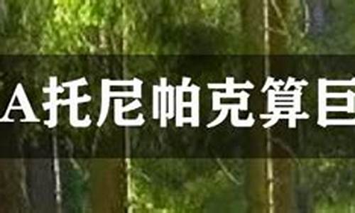 托尼帕克算巨星吗-托尼帕克是篮球巨星吗
