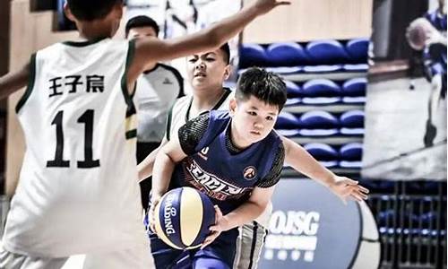 体育加试是什么意思-体育加试篮球能单手吗