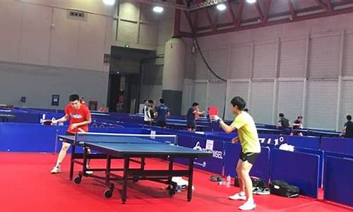 雅达加亚运会乒乓球-雅达加亚运会乒乓球混双决赛