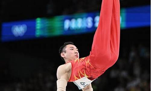 08年奥运双打-08年奥运会双杠冠军