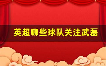 英超哪些球队关注武磊-英超球队价值