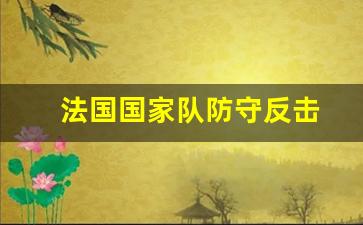 法国国家队防守反击-法国队防线