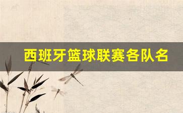 西班牙篮球联赛各队名单-西班牙篮球联赛各队名单最新