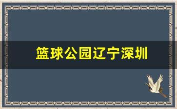 深圳公园篮球场-篮球公园辽宁深圳