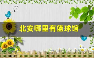 北安哪里有篮球馆-北安哪里有篮球场