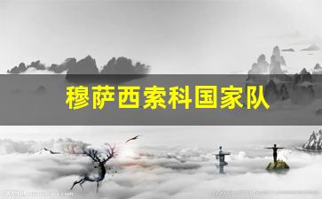 穆萨西索科国家队-穆萨西索科国家队球衣