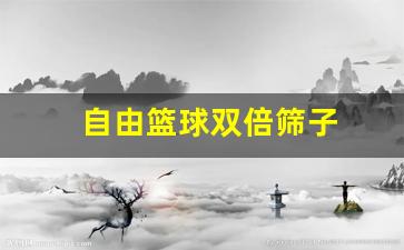 自由篮球双倍筛子-自由篮球双线区