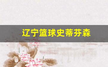 cba辽宁史蒂芬森-辽宁篮球史蒂芬森