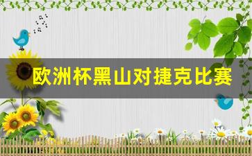 今天黑山对战挪威比分预测-欧洲杯黑山对捷克比赛前瞻