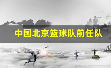 北京篮球队队长是谁-中国北京篮球队前任队长