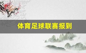 关于举办足球联赛的报告-体育足球联赛报到