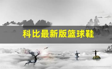科比最新版篮球鞋-科比最新版篮球鞋图片