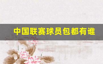 中国球员五大联赛出场次数-中国联赛球员包都有谁