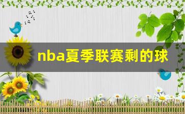 nba夏季联赛各队大名单-nba夏季联赛剩的球队