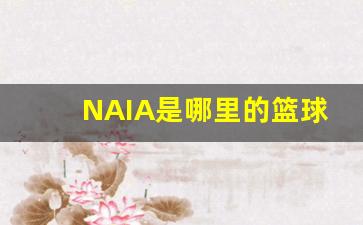 snail篮球队-NAIA是哪里的篮球联赛