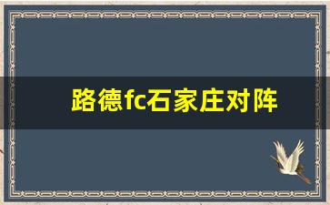 路德fc石家庄对阵-石家庄路德集团正规嘛