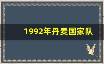 1992年丹麦国家队成绩-1992年丹麦夺冠之路