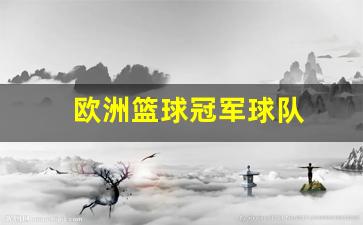 欧洲篮球冠军球队-欧洲篮球冠军联赛最佳阵容