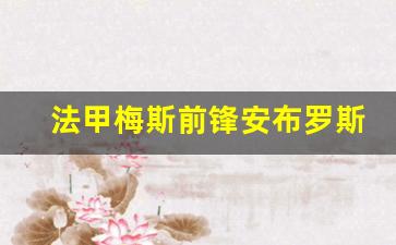法甲梅斯前锋安布罗斯-梅林安布罗休斯
