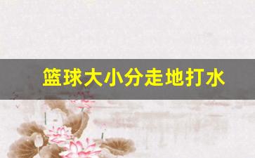 篮球大小分走地打水-篮球大小分啥意思
