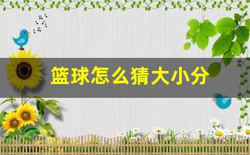 篮球怎么猜大小分-篮球猜大小分容易还是输赢