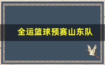全运篮球预赛山东队-全运篮球预赛山东队名单