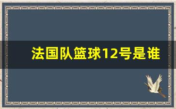 法国队篮球12号是谁-法国队篮球12号是谁的