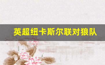 纽卡斯尔联vs狼队比分预测-英超纽卡斯尔联对狼队