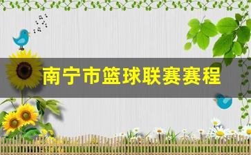 南宁市篮球联赛赛程-南宁市篮球队