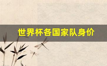 世界杯各国家队身价-世界杯国家队身价排行榜