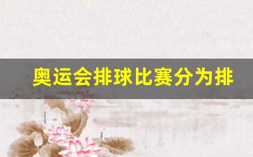 奥运会排球比赛分为排球-奥运会排球比赛分为排球、( )两个项目,每场比赛共分